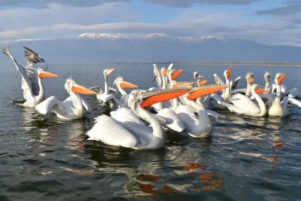 Езерото Керкини и Манастира Свети Йоан Предтеча, Водопада Мурион и Дойран