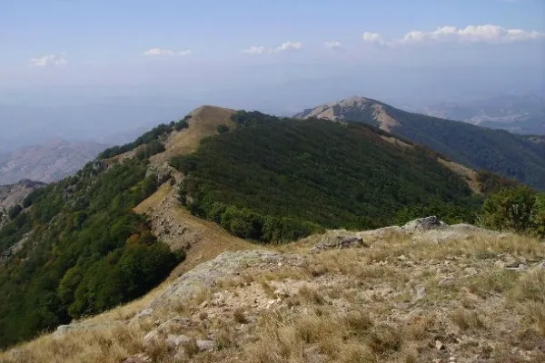 Връх Вейката и Скалните Скулптури край Река Върбица